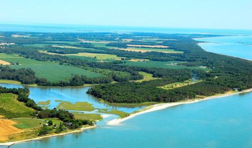 Photo #11 of 1713 SAND HILL DR, CAPE CHARLES, VA 3.1 acres
