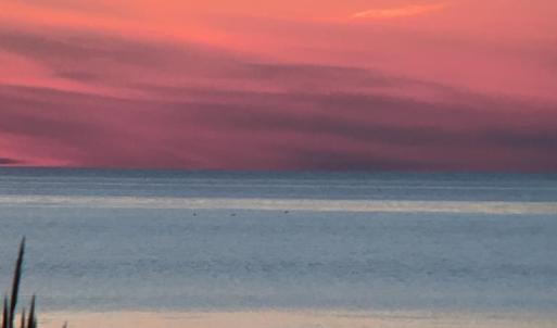 Photo #13 of 1713 SAND HILL DR, CAPE CHARLES, VA 3.1 acres