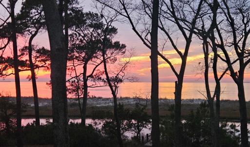 Photo #27 of 1713 SAND HILL DR, CAPE CHARLES, VA 3.1 acres