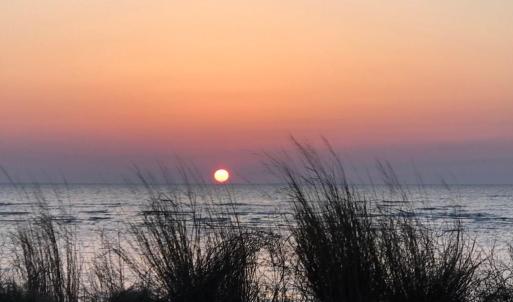Photo #33 of 1713 SAND HILL DR, CAPE CHARLES, VA 3.1 acres
