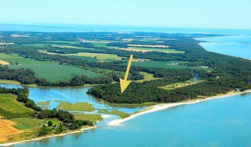 Photo #2 of 1713 SAND HILL DR, CAPE CHARLES, VA 3.1 acres