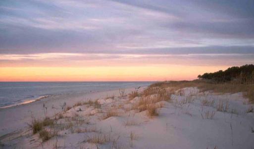 Photo #63 of 1713 SAND HILL DR, CAPE CHARLES, VA 3.1 acres