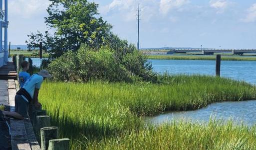Photo #17 of 6321-315 CAPTAINS LANE, CHINCOTEAGUE, VA