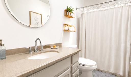 Hall Bathroom