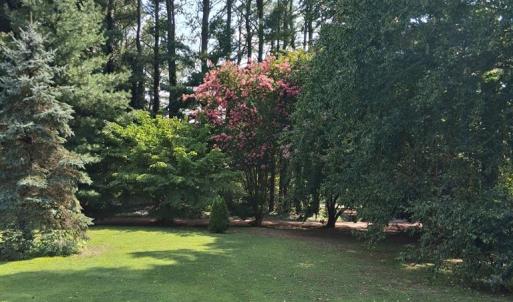 Photo #34 of 24093 COLEY ST, ACCOMAC, VA 1.0 acres