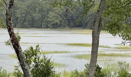 Photo #30 of 25267 SEAVIEW CT, ACCOMAC, VA 4.4 acres