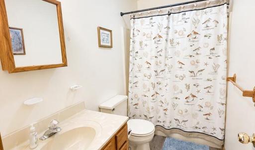 Photo #31 of 3416 RIDGE RD, CHINCOTEAGUE, VA 0.3 acres