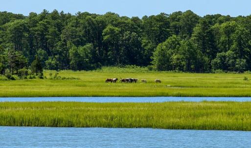 Photo #11 of 7550 EAST SIDE RD, CHINCOTEAGUE, VA 0.0 acres