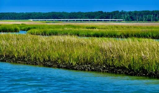 Photo #12 of 7550 EAST SIDE RD, CHINCOTEAGUE, VA 0.0 acres