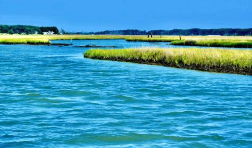 Photo #13 of 7550 EAST SIDE RD, CHINCOTEAGUE, VA 0.0 acres