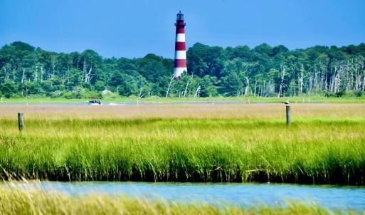 Photo #14 of 7550 EAST SIDE RD, CHINCOTEAGUE, VA 0.0 acres