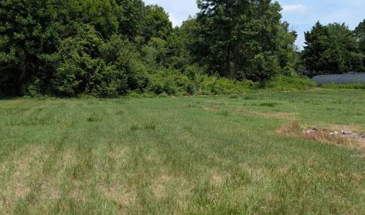 rear yard