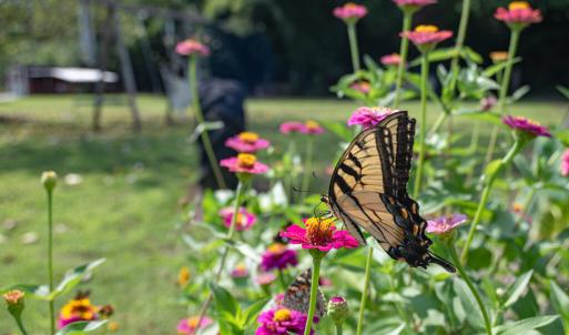 Photo #12 of 2225 BELLE HAVEN RD, BELLE HAVEN, VA 1.5 acres