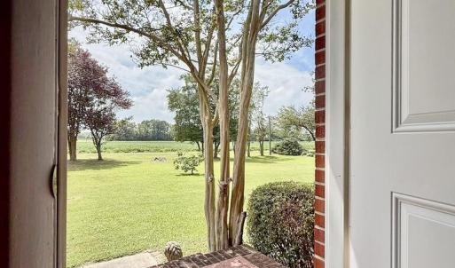 Photo #7 of 14329 WESTWIND DR, ONANCOCK, VA 3.7 acres