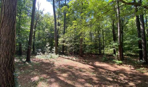 back yard view from deck