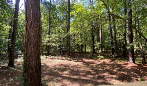 Photo #7 of 27202 PINE RIDGE DR, MELFA, VA 1.0 acres