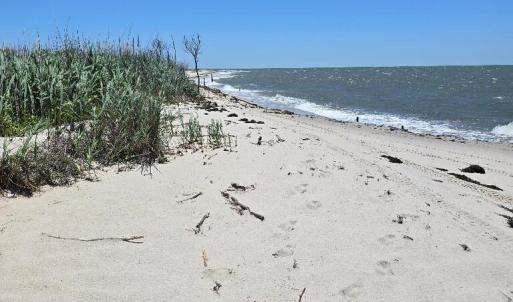 Photo #9 of 16680 HOG RIDGE RD, TANGIER, VA 0.2 acres