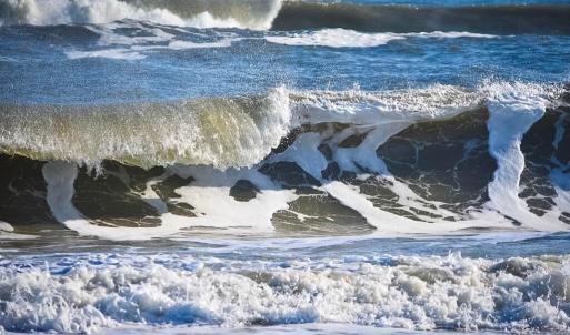 Assateague Beach