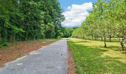 Photo #2 of 34166 BRADFORDS NECK RD, MELFA, VA 21.9 acres