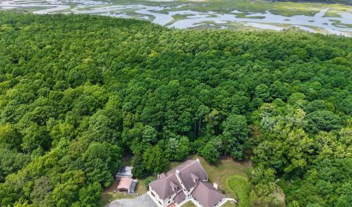 Photo #8 of 34166 BRADFORDS NECK RD, MELFA, VA 21.9 acres