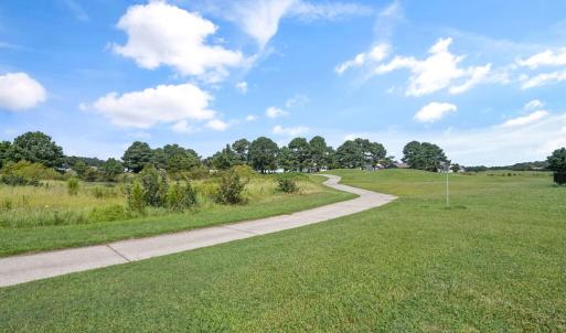 Photo #39 of 3184 MERIDIAN DR, GREENBACKVILLE, VA 65.0 acres