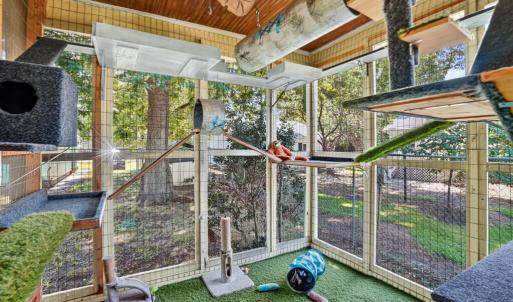 Catio