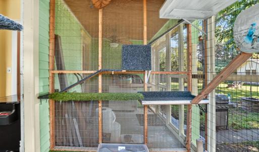 Catio