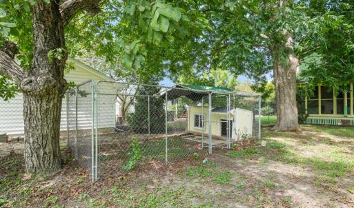 Back Yard, Door house and kennel