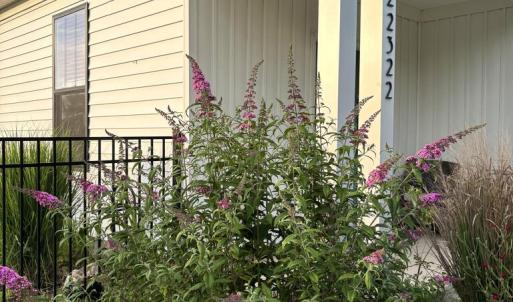 Photo #17 of 22322 PARSONS CIR, CAPE CHARLES, VA 0.5 acres