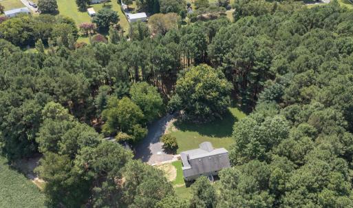 Photo #11 of 10541 PINE TREE RD, NASSAWADOX, VA 3.6 acres