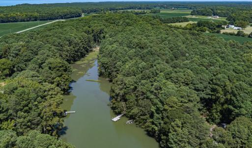 Photo #12 of 7086 LONG POINT RD, EXMORE, VA 8.5 acres