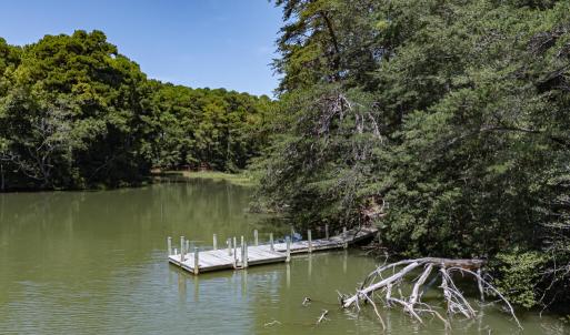 Photo #64 of 7086 LONG POINT RD, EXMORE, VA 8.5 acres
