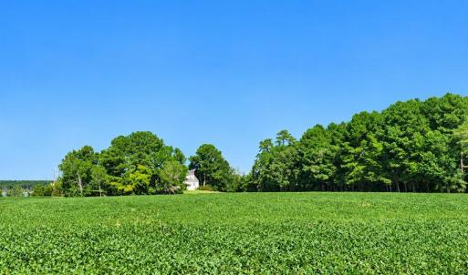 Photo #5 of 35257 CATS POINT LANE, QUINBY, VA 7.0 acres