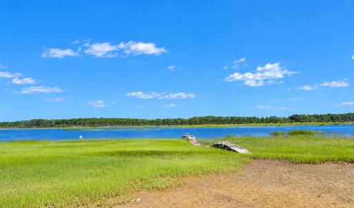 Photo #7 of 35257 CATS POINT LANE, QUINBY, VA 7.0 acres