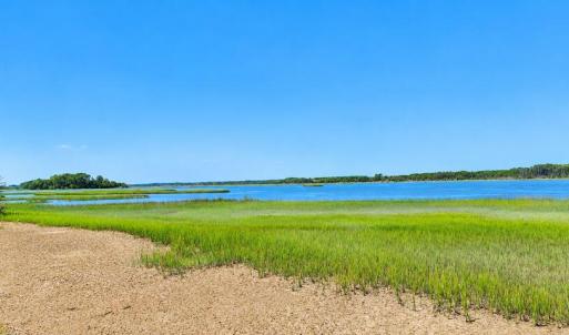 Photo #8 of 35257 CATS POINT LANE, QUINBY, VA 7.0 acres