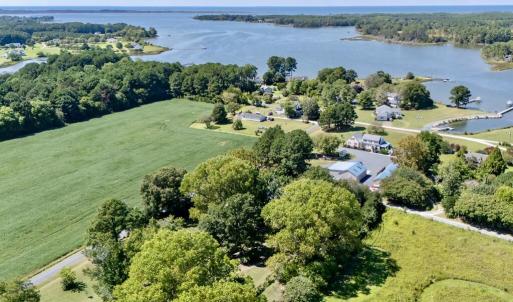 Photo #3 of 13251 NANDUA RD, PAINTER, VA 15.0 acres
