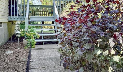 walkway to back deck