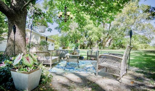 Sitting area under tree