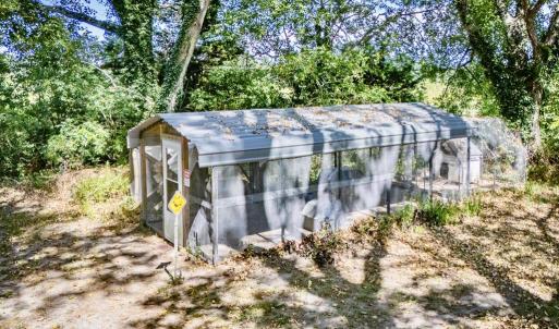 Duck/Chick coop
