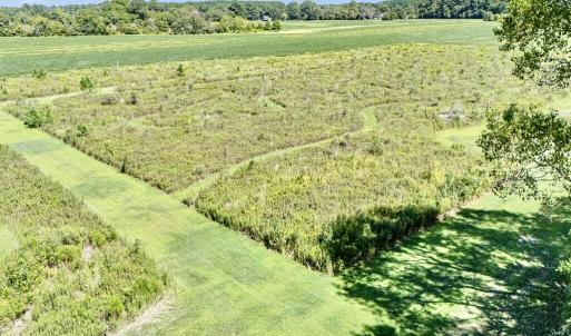 Photo #65 of 13251 NANDUA RD, PAINTER, VA 15.0 acres