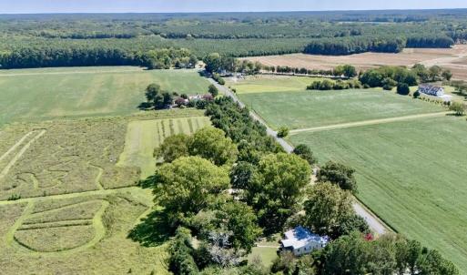 Photo #71 of 13251 NANDUA RD, PAINTER, VA 15.0 acres