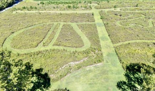 Photo #77 of 13251 NANDUA RD, PAINTER, VA 15.0 acres
