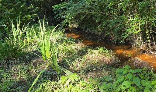 Photo #12 of 23231 COURTHOUSE RD, ACCOMAC, VA 0.7 acres
