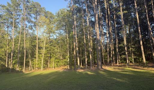 Photo #5 of 16058 OYSTER COURT, PAINTER, VA 1.1 acres