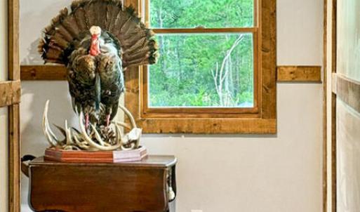 Photo #32 of 13512 CATTAIL RD, MEARS, VA 49.0 acres