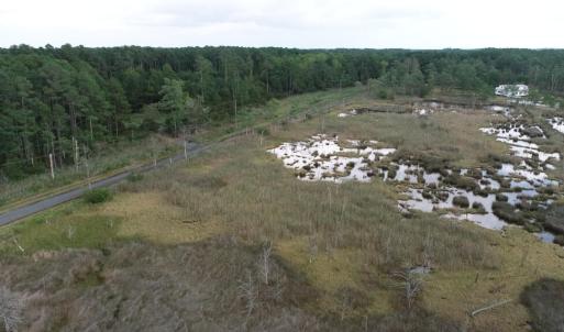 Photo #40 of 13512 CATTAIL RD, MEARS, VA 49.0 acres