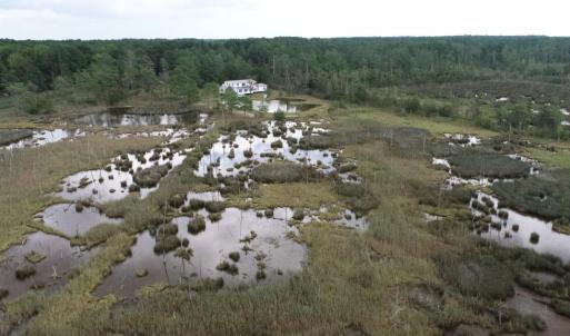 Photo #41 of 13512 CATTAIL RD, MEARS, VA 49.0 acres