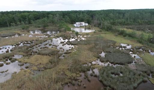 Photo #42 of 13512 CATTAIL RD, MEARS, VA 49.0 acres