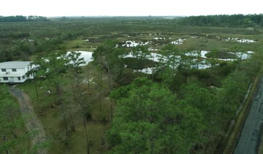 Photo #48 of 13512 CATTAIL RD, MEARS, VA 49.0 acres