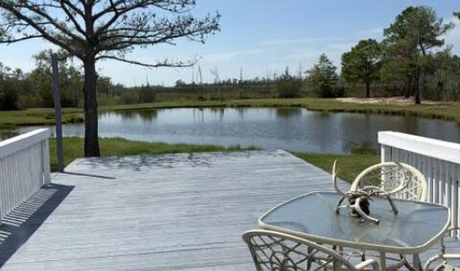 Photo #6 of 13512 CATTAIL RD, MEARS, VA 49.0 acres